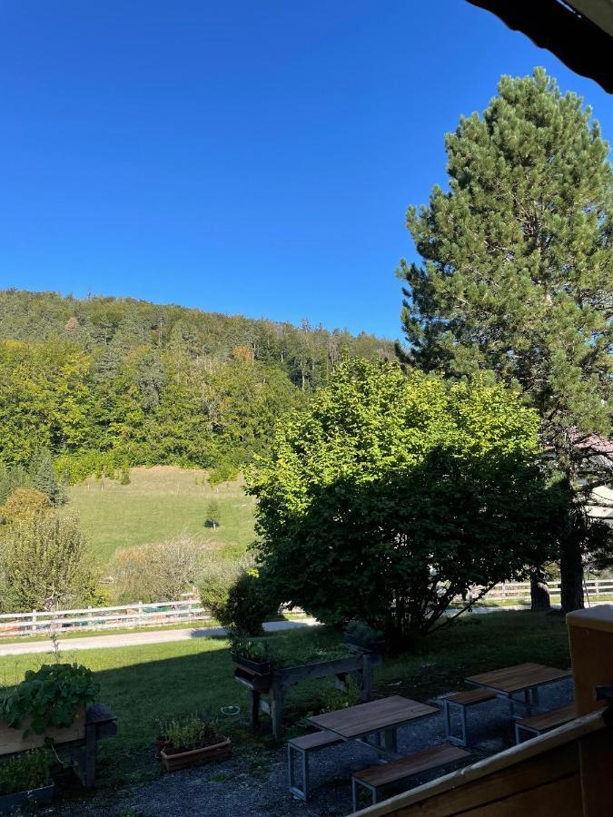 Dorfpension Mariahilfberg Gutenstein Dış mekan fotoğraf