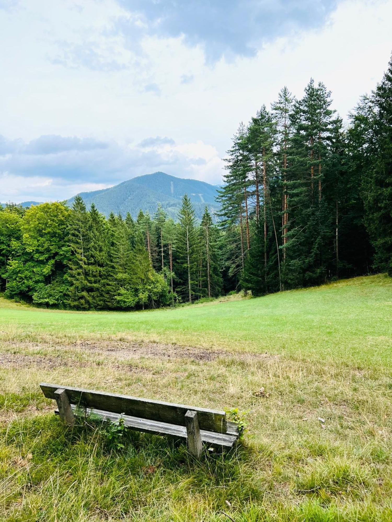 Dorfpension Mariahilfberg Gutenstein Dış mekan fotoğraf